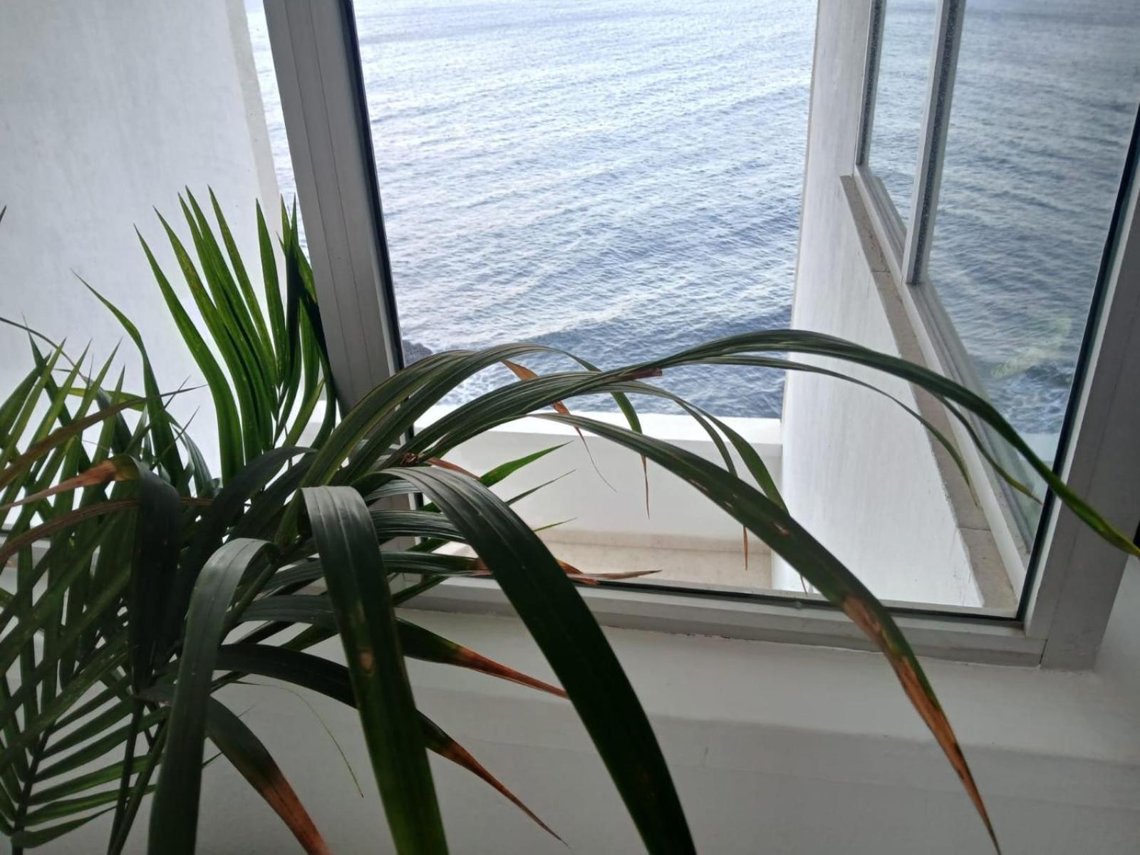 Apartamentos Playa Chica / Playa Las Gaviotas Santa Cruz de Tenerife Ngoại thất bức ảnh